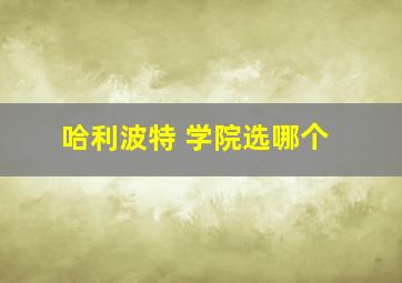 哈利波特 学院选哪个